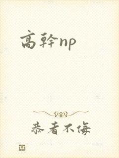 高干np