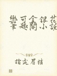 乐可金银花免费笔趣阁小说