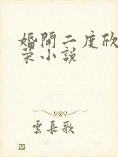 婚开二度欣欣向荣小说