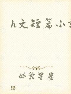 h文短篇小说