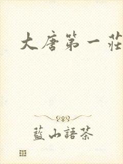 大唐第一庄