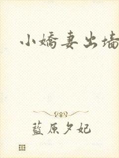小娇妻出墙记