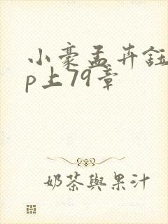 小豪孟卉钰慧三p上79章