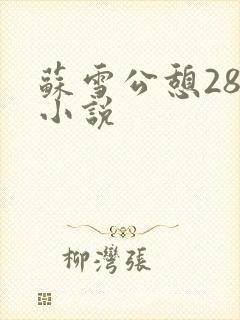 苏雪公憩28篇小说
