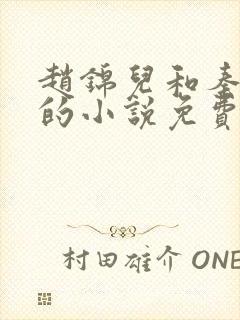 赵锦儿和秦慕修的小说免费阅读全文