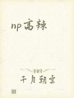 np高辣
