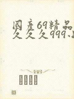 国产69精品久久久久999小说