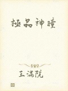 极品神瞳