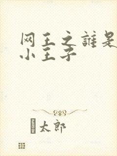 网王之谁是我的小王子
