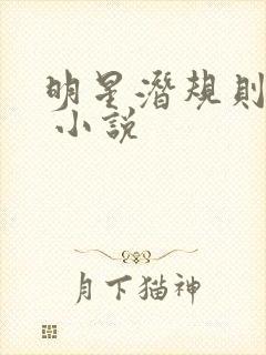 明星潜规则之皇 小说