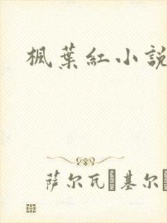 枫叶红小说
