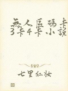 无人区码卡二卡3卡4卡小说