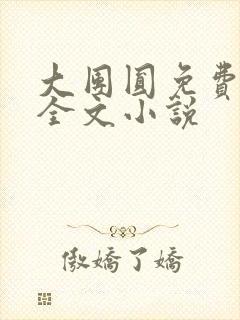 大团圆免费阅读全文小说