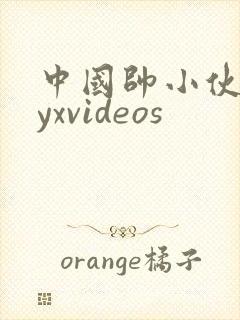 中国帅小伙gayxvideos