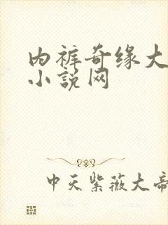 内裤奇缘大团结小说网