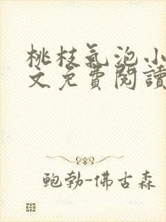 桃枝气泡小说全文免费阅读