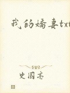 我的娇妻txt