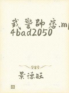 武警帅痞.mp4bad2050