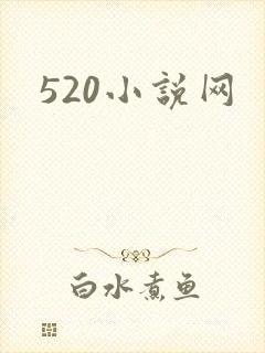 520小说网