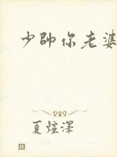 少帅你老婆