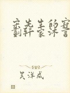 宋先生的宠妻计划轩家沐言