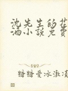 沈先生的花式调酒小说免费阅读