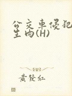 公交车侵犯小男生肉(H)