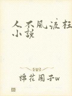 人不风流枉少年小说