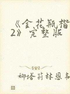 《金花瓶楷梅花2》完整版
