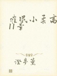 催眠小柔高达第11章