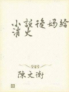 小说后妈给我消消火