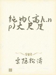 纯肉(高h.np)大尺度