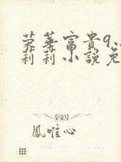 荣华富贵9小王莉莉小说免费阅读