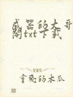 成器的大哥笔趣阁txt下载
