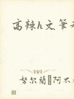 高辣h文笔趣阁