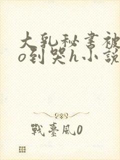 大乳秘书被cao到哭h小说