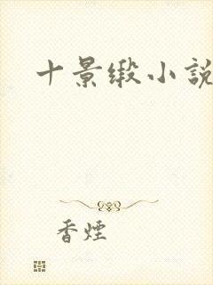 十景缎小说