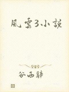 风云3小说