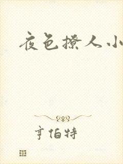 夜色撩人小说