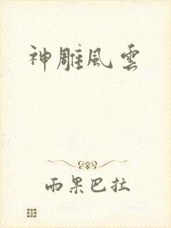 神雕风云