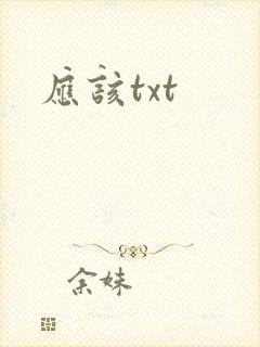 应该txt