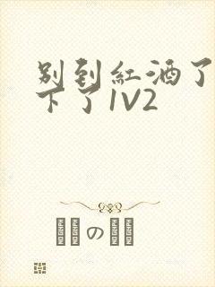 别到红酒了装不下了1V2