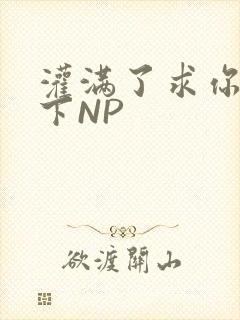 灌满了求你们停下NP