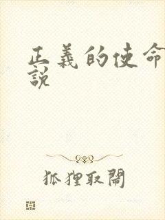 正义的使命 小说