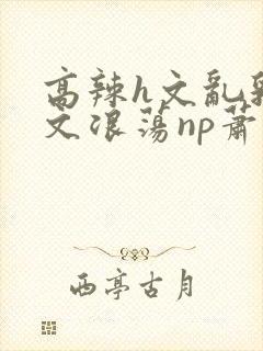 高辣h文乱乳h文浪荡np萧太后