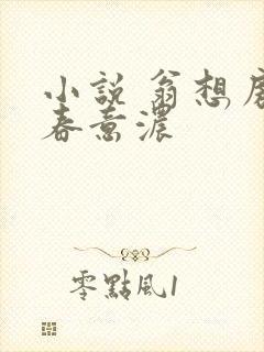 小说 翁想房中春意浓