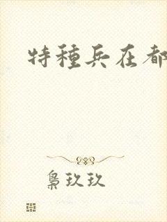 特种兵在都市