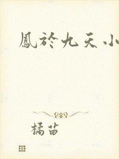 凤于九天小说