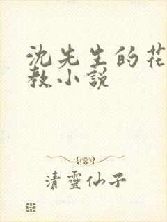 沈先生的花式调教小说