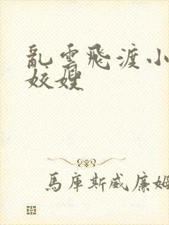 乱云飞渡小说之姣嫂